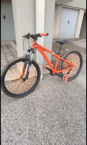 Fahrrad mtb jungen mit - fahrrad,