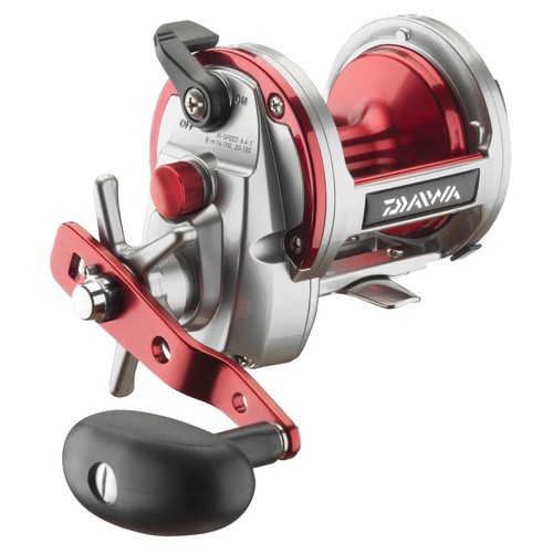 Daiwa sealine ishidai 40h - ishidai,