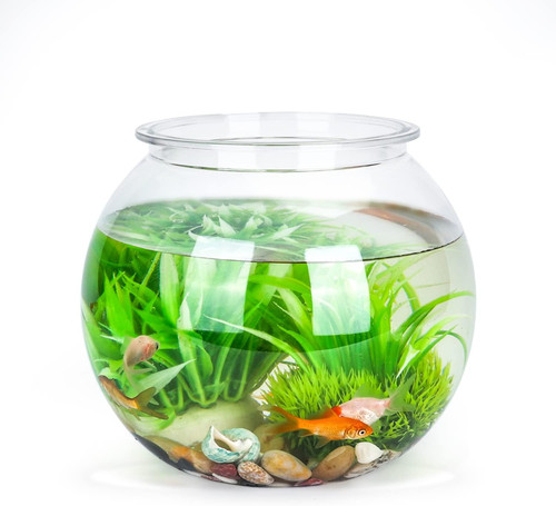 Nobleza goldfischglas - nobleza,