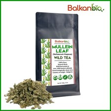 Wild Königskerze Blatt