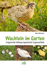 Wachteln im Garten Artgerechte
