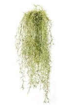artplants Künstliche