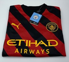 Manchester City Puma Langarm