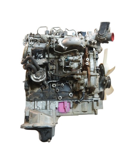Motor für nissan np300 d40 - motor,