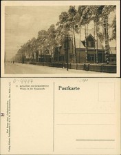 Zschornewitz Straßenpartie