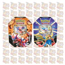 Pokemon Schlagkräftige