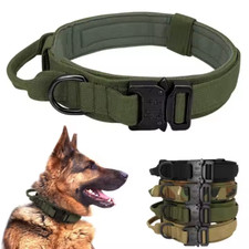 aktisches Hundehalsband mit Griff – Verstellbar, robust & aus strapazierfähigem.