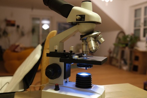 Biologisches
