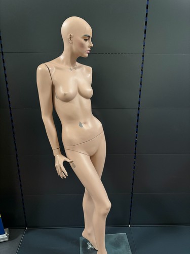 Mannequin schaufensterpuppe - mannequin,