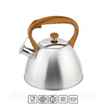 Edelstahl Flötenkessel