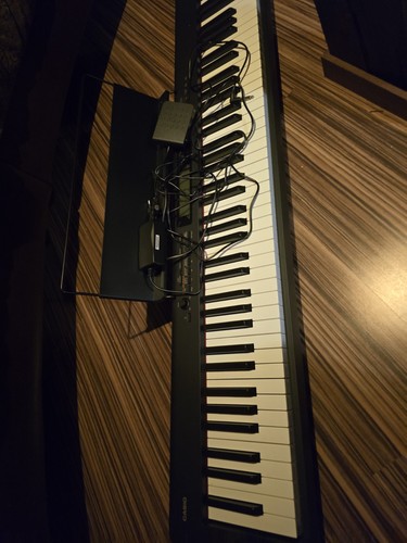 Casio digitalpiano tasten - casio,