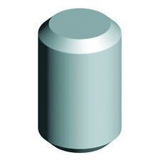 Bolzen, roh für Torangel | Torband, Schanier, Torschanier, Torzubehör, Torbolzen