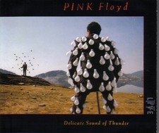 CD  Big Box  Pink Floyd/ Delicate Sound of Thunder/ 15 Songs/ 1988