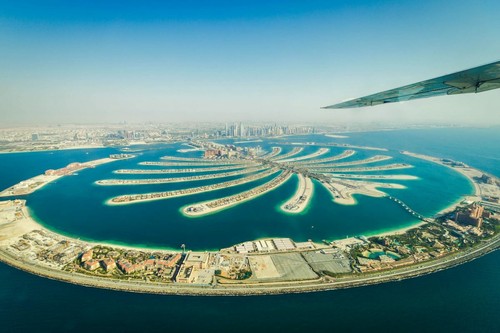 Dubai palme 555 - palme, 555€