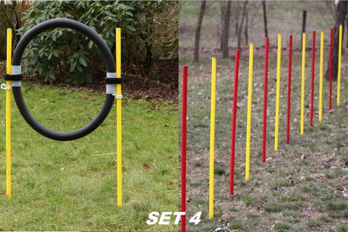 Agility combi x - 1, slalom