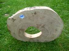 Baumscheibe Astscheibe