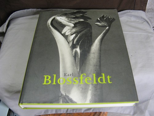 Karl blossfeldt - karl,