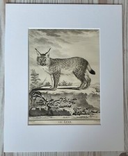 1767 Lithographie Kunstdruck