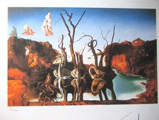 Salvador dali schöne - salvador,