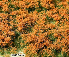 Grasbüschel Orangene Blüten