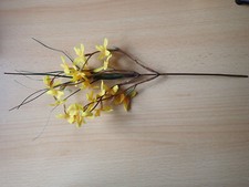 Floristik forsythien - ,