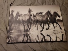 Ikea Leinwand Bild Pferde