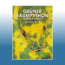 Grüner baumpython markus - grüner,