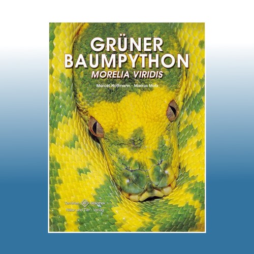 Grüner baumpython markus - grüner, |
