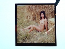 Nudismus DOREEN Nackt in der Natur / Aktfoto * Vintage 60s REG DINEEN Dia #5