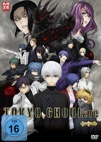 Tokyo ghoul gesamtausgabe - -,