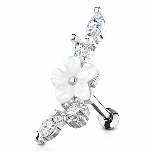 Tragus cartilage helix ohr - cartilage,