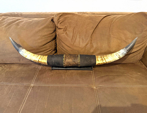 Original texas longhorn - texas,
