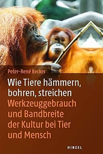 Wie tiere hämmern bohren - tiere, hämmern,