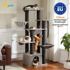 PETEPELA Kratzbaum XXL Große