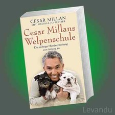 TIPPS VOM HUNDEFLÜSTERER + WELPENSCHULE | CESAR MILLAN