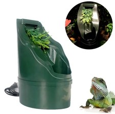 Reptilien Chamäleon