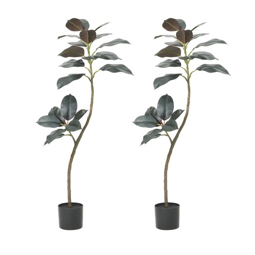 Ficus benjamini 120 170cm - benjamini, 120/170cm