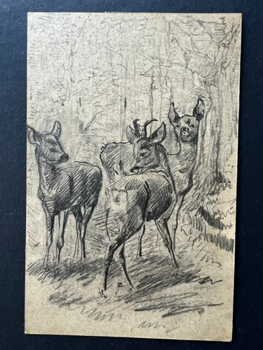 Rehe original zeichnung - original,