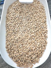 Weizen Futterweizen Einzelfuttermittel Geflügel, Schweine Rinder 5kg