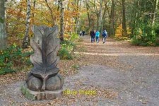 Foto 6x4 eichenlaub stuhl - foto,