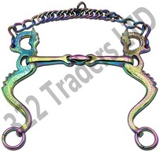 Regenbogen Drache Pferd