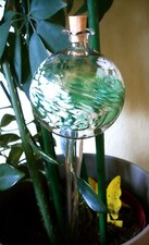Durstkugel Wasserspender Glas Lauscha Blumentopf