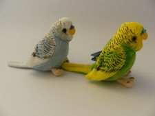 1 Plüschtier Wellensittich