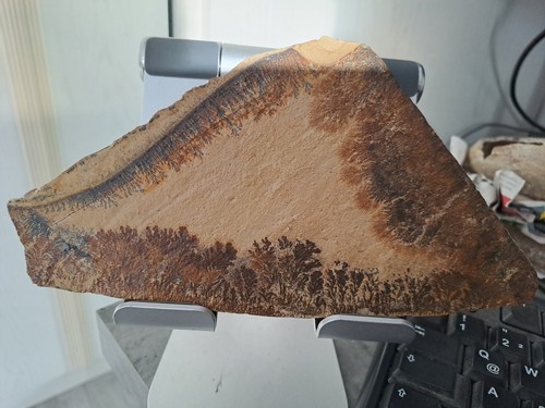 Manganoxid dendriten auf - manganoxid,