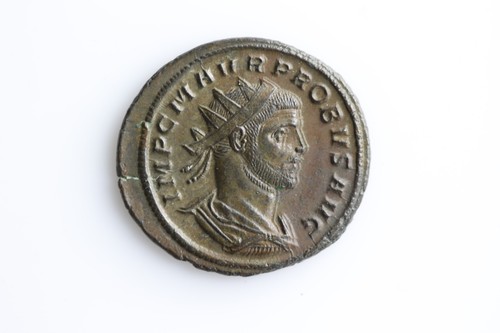 Probus concord milit - -,