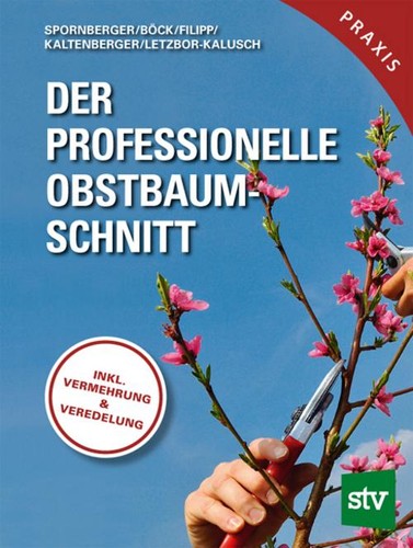 Andreas spornberger der - andreas,