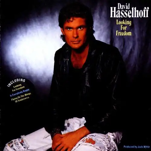 David hasselhoff looking for - david,