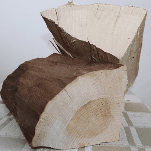 Brennholz buche 5 netzsäcke - brennholz,
