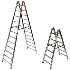 Facal Professional 1