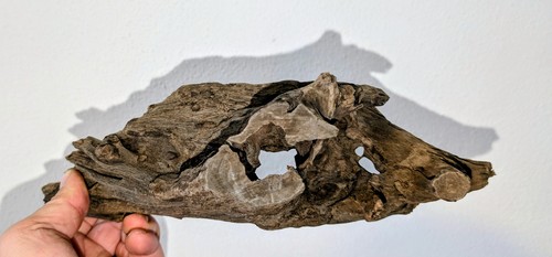 Dark black driftwood wurzel - dark,